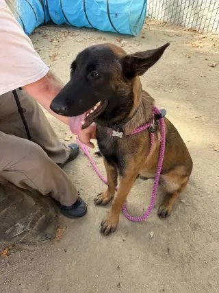 Dory- Located in California