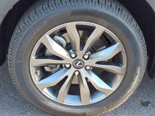 Lexus NX 300 2020 F SPORT 4dr Crossover