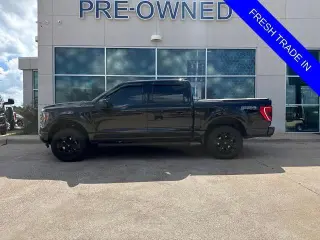 Ford F-150 2023 4x4 XLT 4dr SuperCrew 5.5 ft. SB
