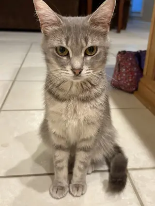 Mia