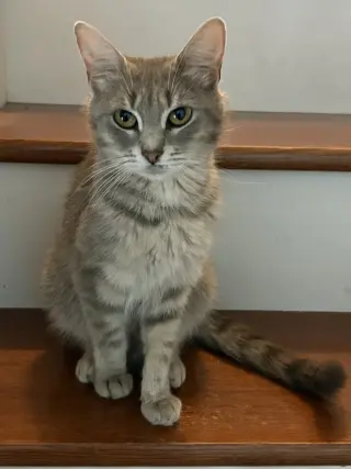Mia