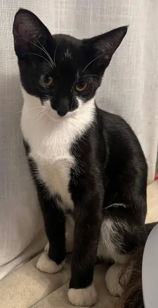 Bruce Wayne
