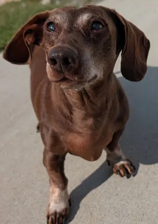 Cooper in TN