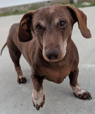 Cooper in TN
