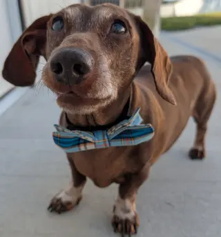 Cooper in TN