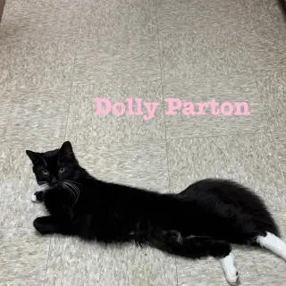 Dolly Parton