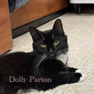 Dolly Parton