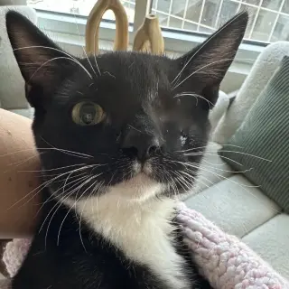 Affogato