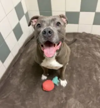Luna
