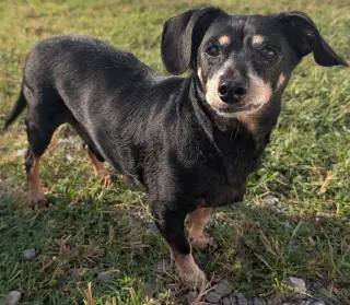 Otto in TN