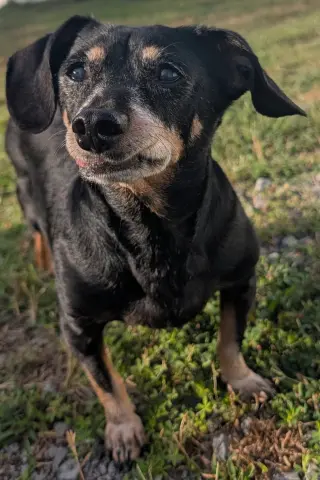 Otto in TN