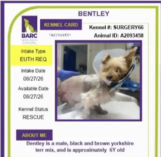 Bentley