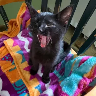 Luna