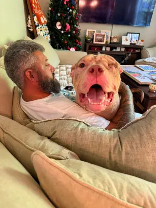 Gracie O   (2026)