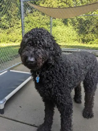 Jackson