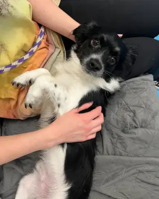 Sprout