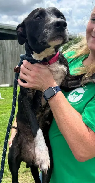 Kiva