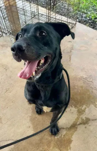 Axel