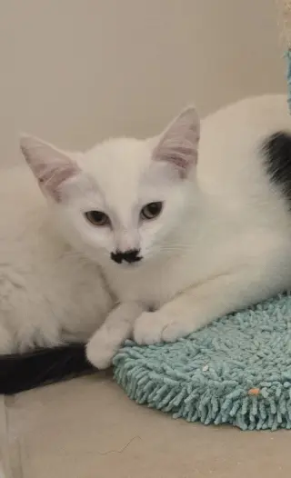Charlie