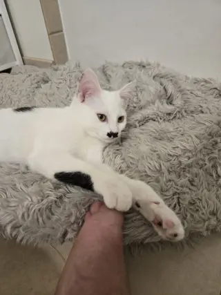 Charlie