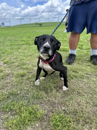 Kiva- sweet girl