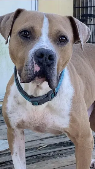 Milton- goofy boy