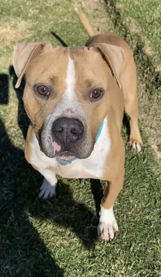 Milton- goofy boy