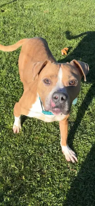 Milton- goofy boy