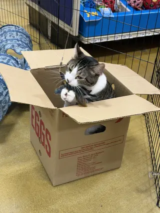 Wembley
