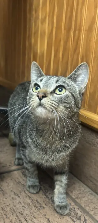 Kit