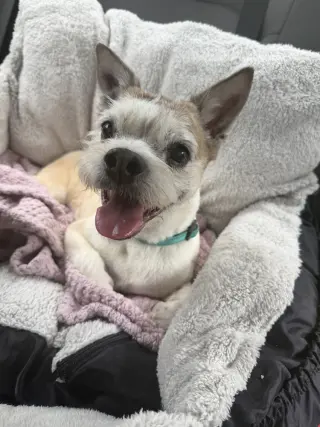 Buster