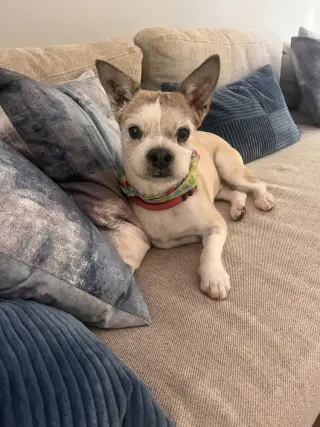 Buster