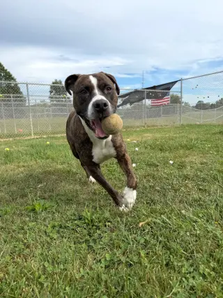 Kilo