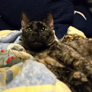 Pina #bonded-to-Buddy