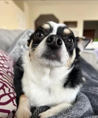 Marvin