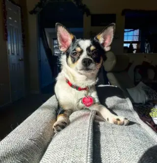 Marvin