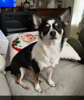 Marvin