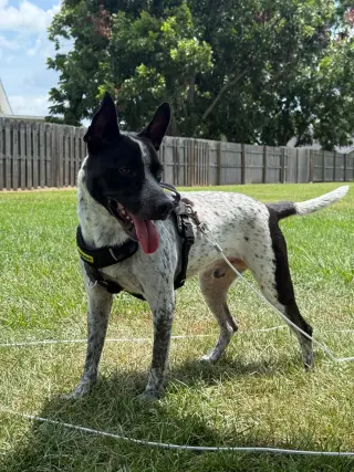 Jax-friendly boy