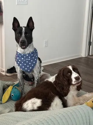Jax-friendly boy