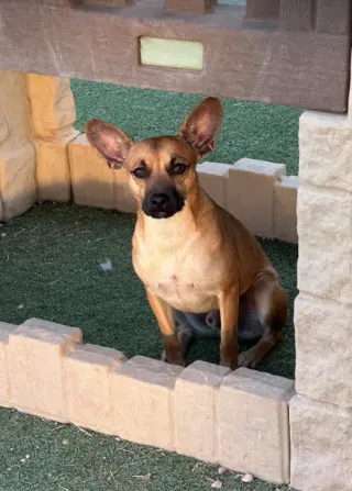 Paco in TX