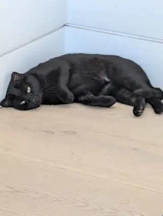Chloe
