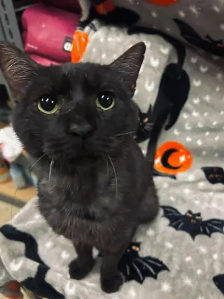 Carl