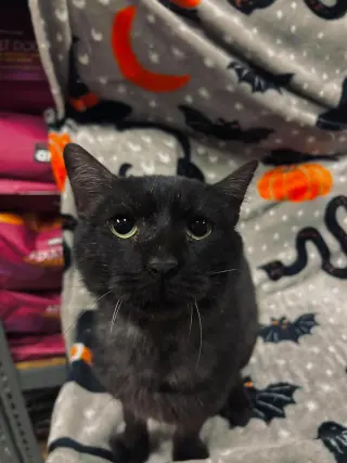 Carl