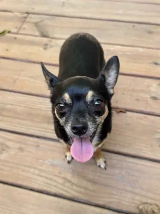 Tiny