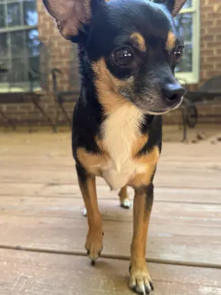 Tiny