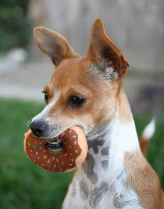 Penny