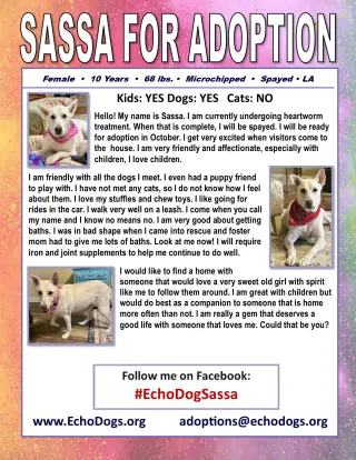 Sassa