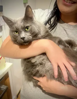 Smooth Opurrator