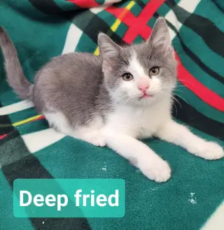 Deep Fried