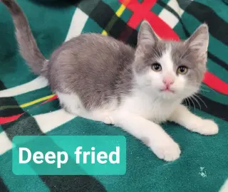 Deep Fried